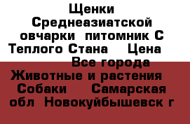 Щенки Среднеазиатской овчарки (питомник С Теплого Стана) › Цена ­ 20 000 - Все города Животные и растения » Собаки   . Самарская обл.,Новокуйбышевск г.